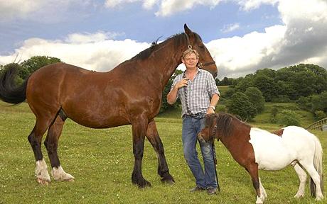 Martin Clunes Horse Power